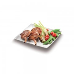 assiette carree en bagasse biodegradable 18 x 18 cm - par 50